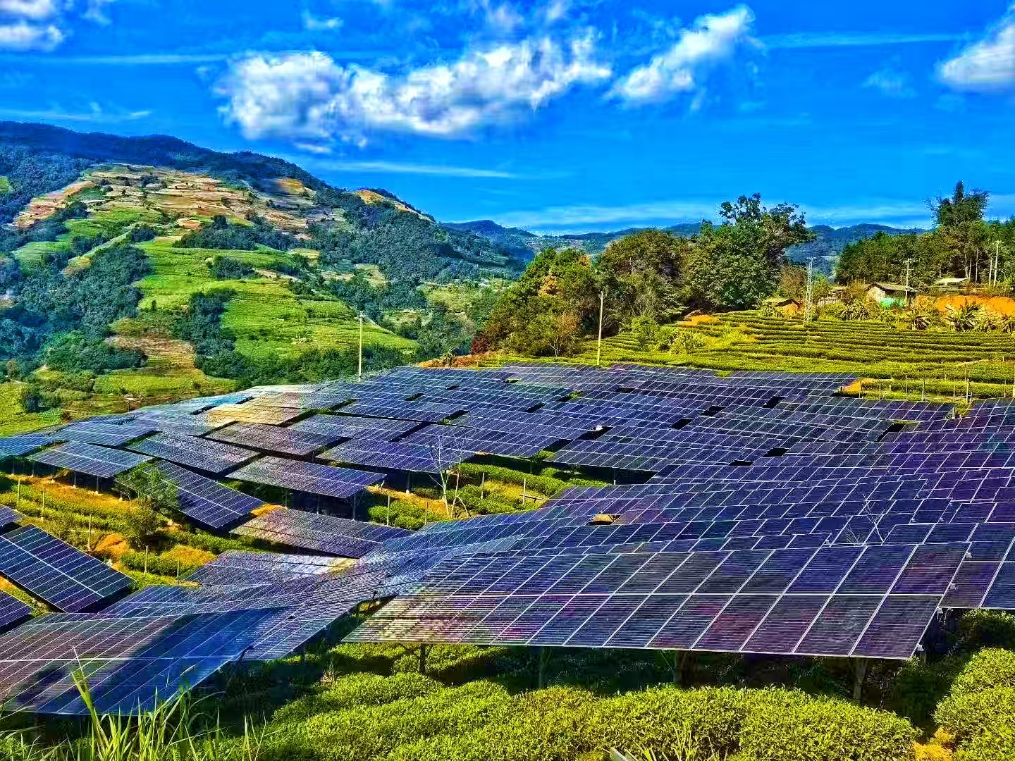 1765268922683021885.jpg 1d1a48d7a5e94ce885bb2735e03e7916.jpg