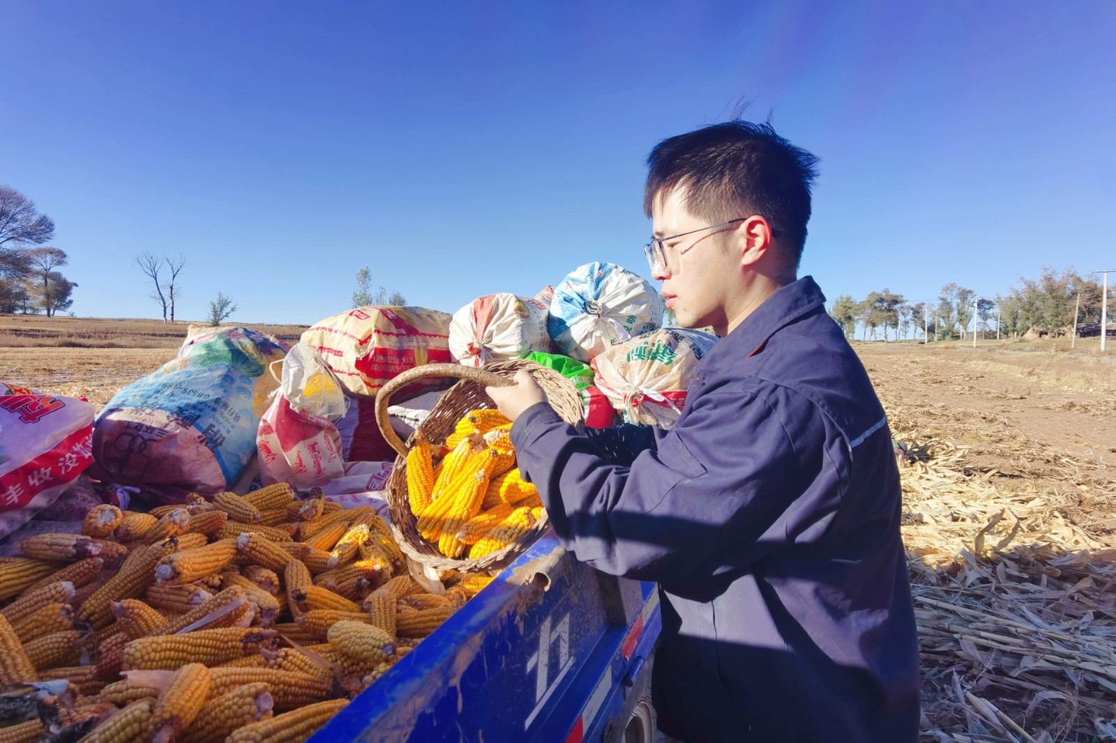 图为吕杰帮助孤寡老人在地里掰玉米(小于1M)